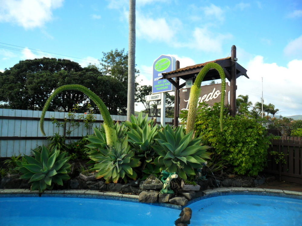 Loredo Motel Kaitaia Exterior foto